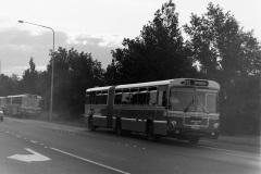 Bus-551