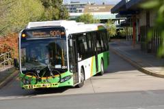 Bus551-Woden-2