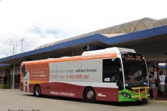 Bus551-Woden-3