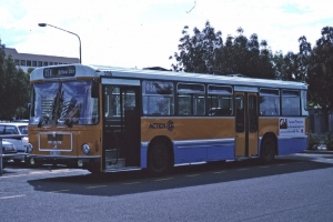 BUS 556-1