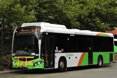 Bus-556-Tuggeranong-Bus-Station