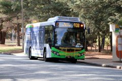 Bus556-Goyder-1