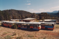 Bus-557