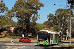 Bus-559-Langdon-Avenue