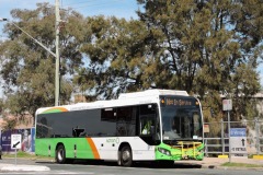 Bus-559-Lathlain-St-Belconnen