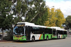 Bus-562-Woden-Bus-Station