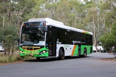 Bus563-Tidbinbilla-1