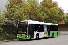 Bus-564-Tuggeranong-Bus-Station