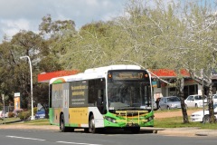 Bus-565-Hardwick-Cres-Holt