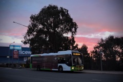 Bus568-Cohen-Street-Interchange