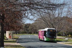 Bus-569-Strickland-Crescent