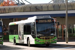 Bus-572-Woden-Bus-Station