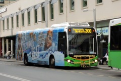 Bus-578-City-Bus-Station