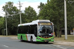 Bus-579-Antill-Street