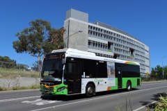 Bus-585-Cohen-Street