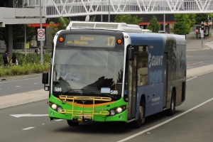 BUS 586-2