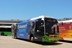 Bus-586-Woden-Bus-Station-4-