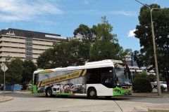 Bus-590-Woden-Bus-Station