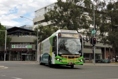 Bus-591-Northbourne-Avenue