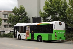 Bus-591-Tuggeranong-Bus-Station-2