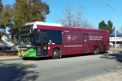 Bus593-Kippax-1