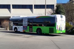 Bus593-Woden Interchange