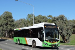 Bus-595-Haydon-Drive