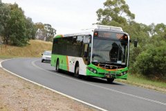 Bus595-Heysen-1