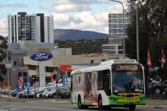 Bus-596-Cohen-Street