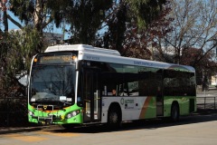 Bus-598-Woden-Bus-Station