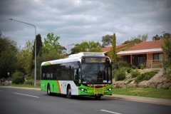 BUS598 - Hardwick Crescent