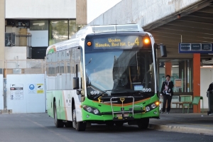 BUS 599-2