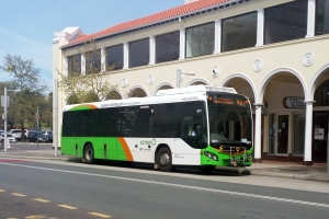 BUS 601-2