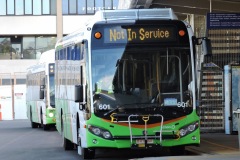 Bus-601-Woden-Bus-Station