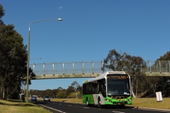 Bus-603-Erindale-Drive