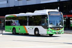 Bus603-bcbs-