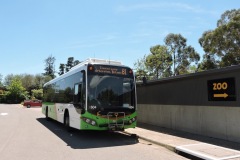 Bus-604-National-Zoo-and-Aquarium