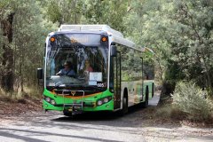 Bus605-Tidbinbilla