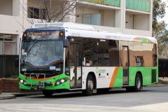 Bus605-Tuggeranong-1