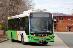 Bus607_Tuggeranong