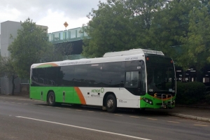 BUS 609-2