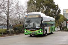 Bus611_Woden1