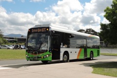 Bus-614-Mackillop-CLG-Isabella-Plains