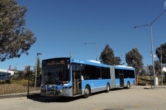 Bus-621-Cohen-Street-Bus-Station