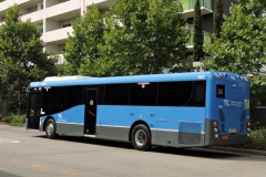 Bus-622-Tuggeranong-Bus-Station