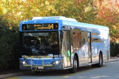 Bus-629-Woden-Bus-Station