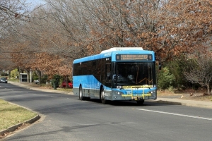 BUS 638-2