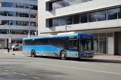 Bus638-CityBs-1