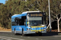 Bus-653-College-Street