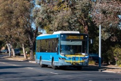 Bus-654-Alpen-Street